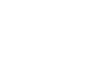 LEDEN